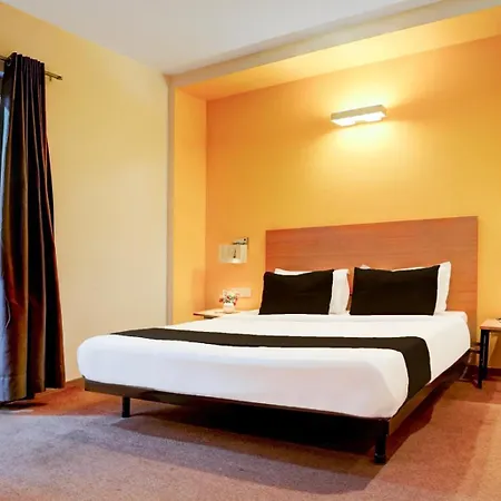 Hotel Ivy Plaza Near Delhi Airport